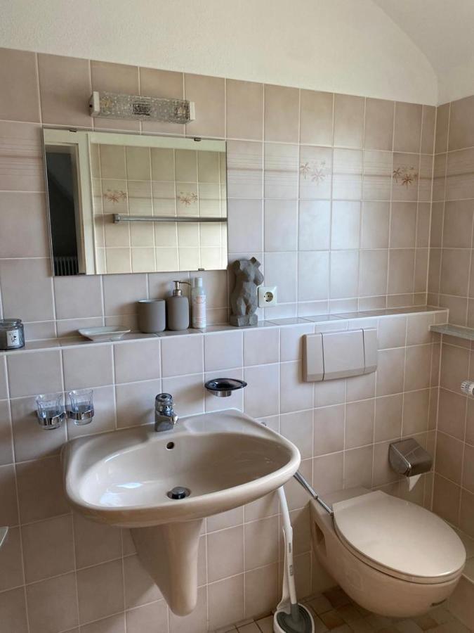 Ferienwohnung Vogesenblick Mullheim  Ngoại thất bức ảnh